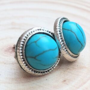 Faux Turquoise Stud Earrings